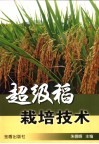 超级稻栽培技术
