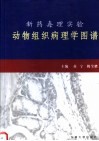 新药毒理实验动物组织病理学图谱