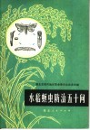 水稻螟虫防治五十问