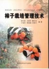 柿子栽培管理技术