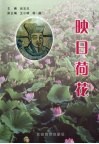 映日荷花  全国杨万里学术讨论会论文集