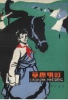 草原明灯 封面