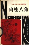 肉桂八角