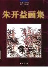 朱开益画集