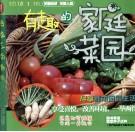 有趣的家庭菜园