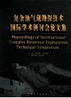 复杂油气藏勘探技术国际学术研讨会论文集 封面