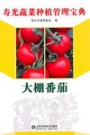 寿光蔬菜种植管理宝典  大棚番茄
