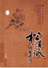松溪派内家武功  经典珍藏版