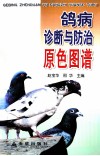 鸽病诊断与防治原色图谱