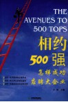 相约500强  怎样成功应聘大企业 电子书封面