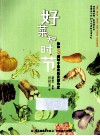 好菜知时节  我和95道时令菜肴的美丽约定
