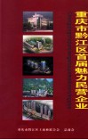 重庆市黔江区首届魅力民营企业
