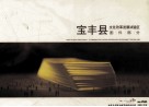 宝丰县文化改革发展试验区图件部分
