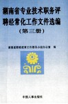 湖南省专业技术职务评聘经常化工作文件选编  第3册