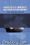 河南省嵩县东湾槐树坪矿区成矿环境及金矿成矿规律研究