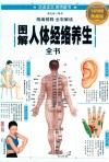 图解人体经络养生全书  全彩图解典藏版
