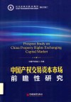 中国产权交易资本市场  前瞻性研究