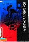 现代企业资产负债与管理