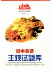 初中英语主观试题库