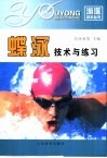 蝶泳技术与练习