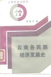 云南各民族经济发展史