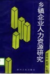 乡镇企业人力资源研究