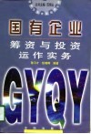 国有企业筹资与投资运作实务 封面