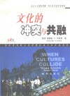 文化的冲突与共融
