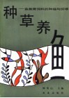 种草养鱼  鱼类青饲料的种植与饲喂