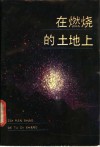 在燃烧的土地上  抗战文学的足迹