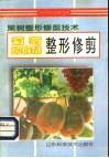 葡萄  猕猴桃整形修剪