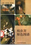 干果病虫害原色图谱