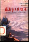 海岛军民情谊深封面
