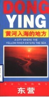 黄河入海的地方：东营 封面