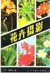 花卉摄影