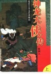 神龙大侠传  上 电子书封面