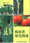 蔬菜病虫害原色图谱