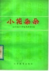小花朵朵：临沂地区小学生优秀作文选