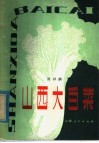 山西大白菜