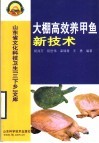 大棚高效养甲鱼新技术