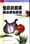 葱蒜类蔬菜病虫原色图谱