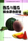 西瓜与甜瓜病虫原色图谱