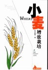 小麦增效栽培
