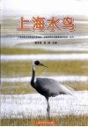 上海水鸟