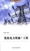 优化电力资源的工程