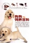 狗狗饲养百科