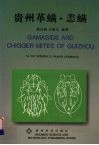 贵州革螨·恙螨
