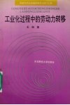 工业化过程中的劳动力转移 封面