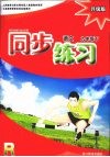 同步练习  语文  九年级  下  升级版 封面