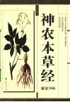 神农本草经解读50味